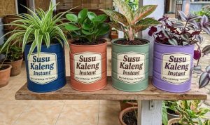 10 Ide Kreatif Mengubah Kaleng Bekas Jadi Pot Tanaman Hias yang Mudah Dirawat