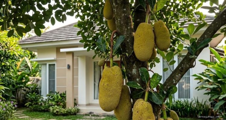 11 Jenis Pohon Buah Beraroma Harum, Pilihan Terbaik untuk Pekarangan