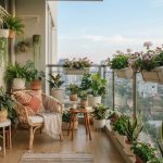 12 Tanaman Hias untuk Balkon Minimalis, Solusi Mempercantik Area Luar Ruangan yang Terbatas