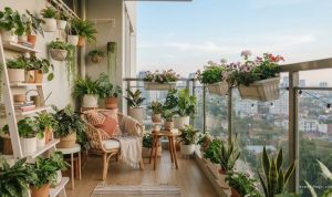 12 Tanaman Hias untuk Balkon Minimalis, Solusi Mempercantik Area Luar Ruangan yang Terbatas