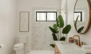 17 Tanaman Hias Kamar Mandi Terbaik, Pengharum Ruangan Alami