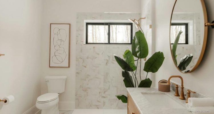17 Tanaman Hias Kamar Mandi Terbaik, Pengharum Ruangan Alami