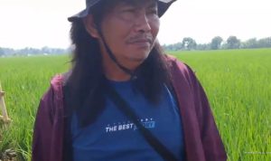 20 Unit Irpom: Petani Kroya Tak Waswas Kemarau Lagi