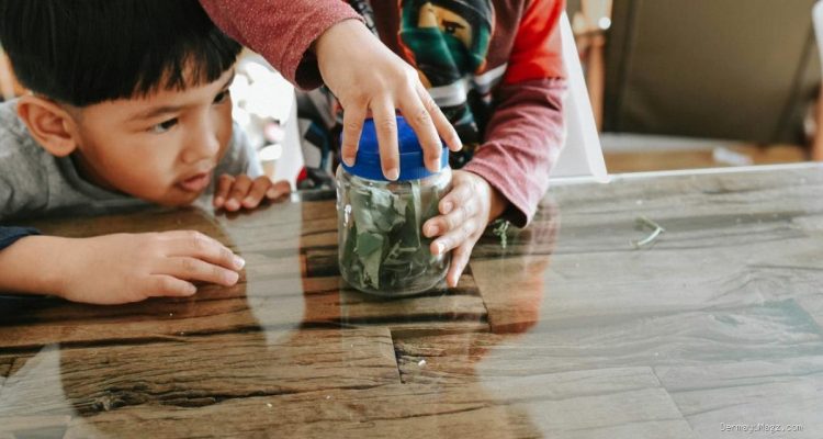 5 Cara Efektif Ajarkan Anak Mengelola Uang Sejak Dini