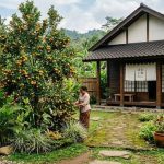 7 Jenis Pohon Buah Ala Jepang untuk Hunian, Mudah Tumbuh di Indonesia