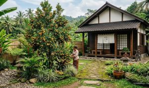 7 Jenis Pohon Buah Ala Jepang untuk Hunian, Mudah Tumbuh di Indonesia