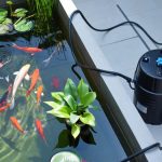 8 Langkah Praktis Membuat Kolam Mini Estetik dari Barang Bekas