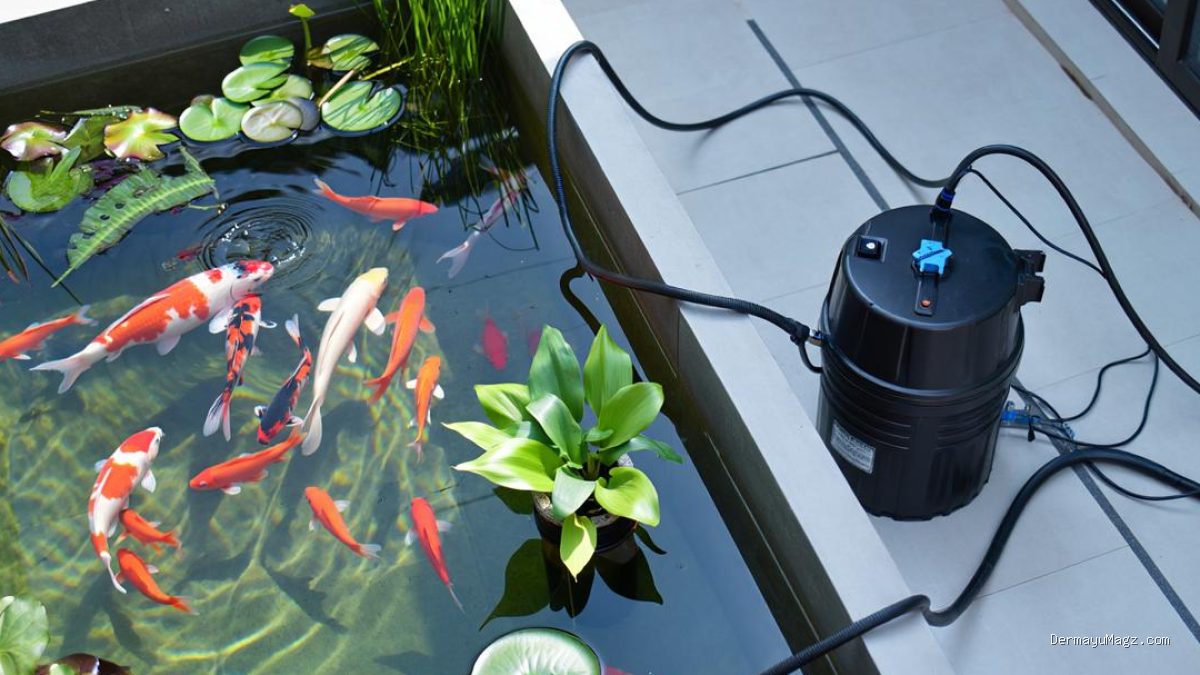 8 Langkah Praktis Membuat Kolam Mini Estetik dari Barang Bekas