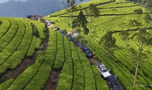 82 Mobil Off-Road Jelajahi Jawa Tengah dengan Misi Khusus