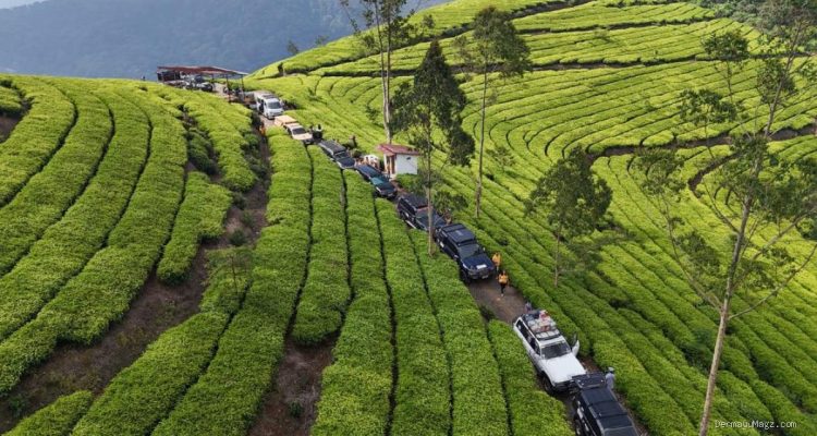 82 Mobil Off-Road Jelajahi Jawa Tengah dengan Misi Khusus