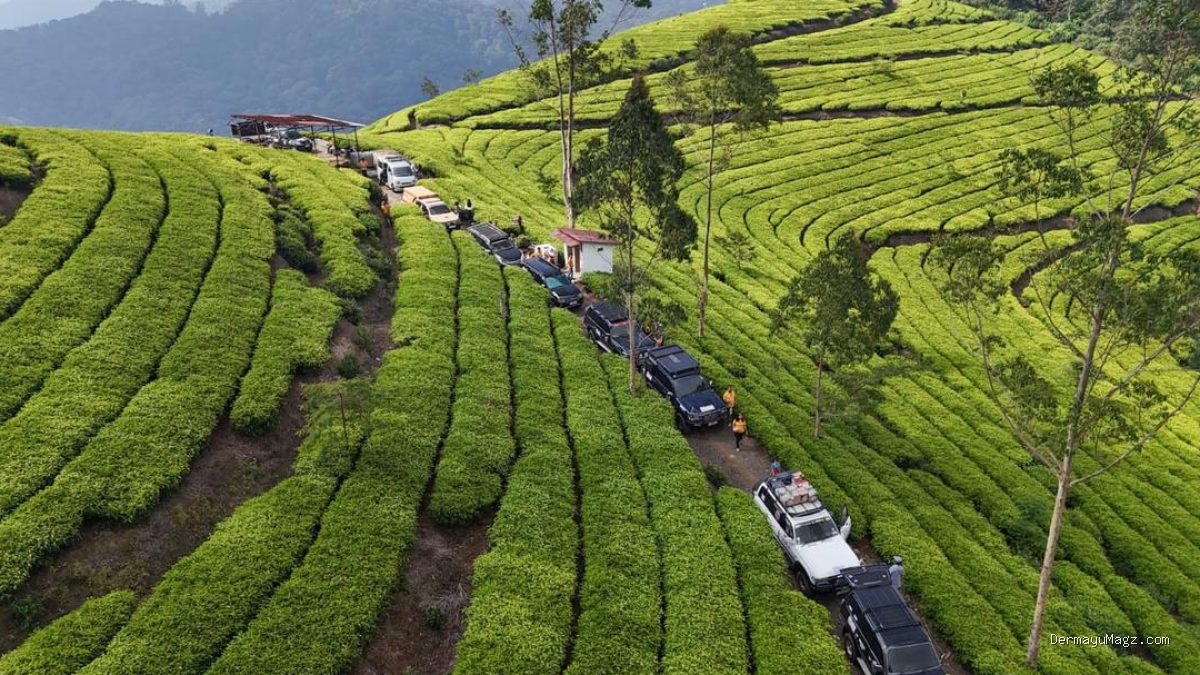 82 Mobil Off-Road Jelajahi Jawa Tengah dengan Misi Khusus