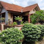 9 Jenis Semak Hias yang Tidak Perlu Sering Dipangkas, Cocok untuk Pemula