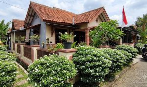 9 Jenis Semak Hias yang Tidak Perlu Sering Dipangkas, Cocok untuk Pemula