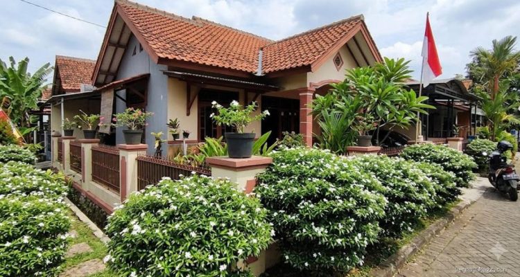 9 Jenis Semak Hias yang Tidak Perlu Sering Dipangkas, Cocok untuk Pemula