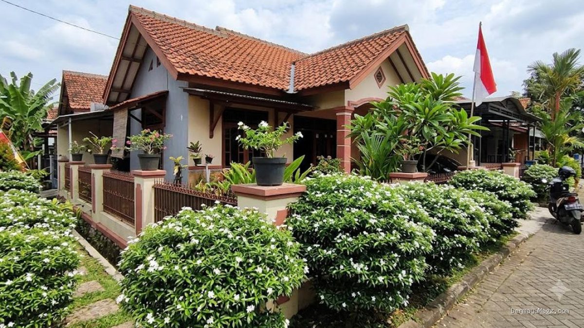 9 Jenis Semak Hias yang Tidak Perlu Sering Dipangkas, Cocok untuk Pemula