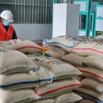 Aturan Baru Bulog: Mitra Penggilingan Padi Wajib Tersertifikasi 2027