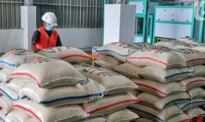 Aturan Baru Bulog: Mitra Penggilingan Padi Wajib Tersertifikasi 2027