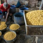 Beban Biaya Produksi Naik, Perajin Tahu Tempe Mengeluh