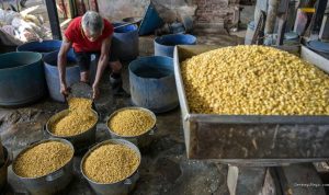 Beban Biaya Produksi Naik, Perajin Tahu Tempe Mengeluh