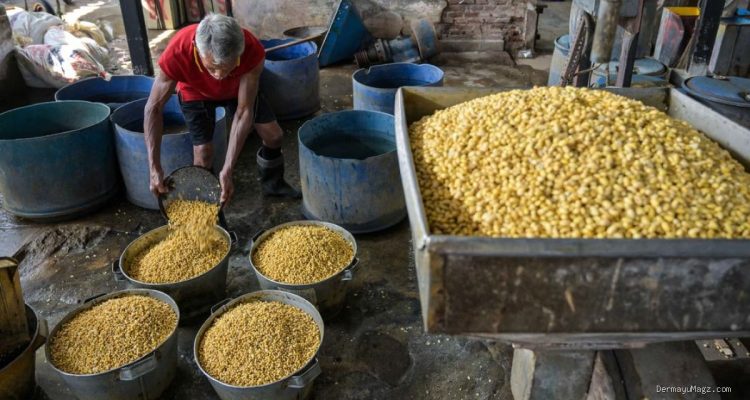 Beban Biaya Produksi Naik, Perajin Tahu Tempe Mengeluh