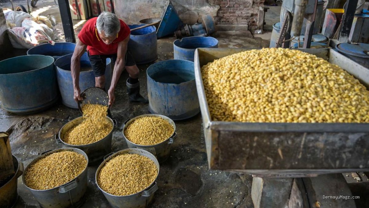 Beban Biaya Produksi Naik, Perajin Tahu Tempe Mengeluh