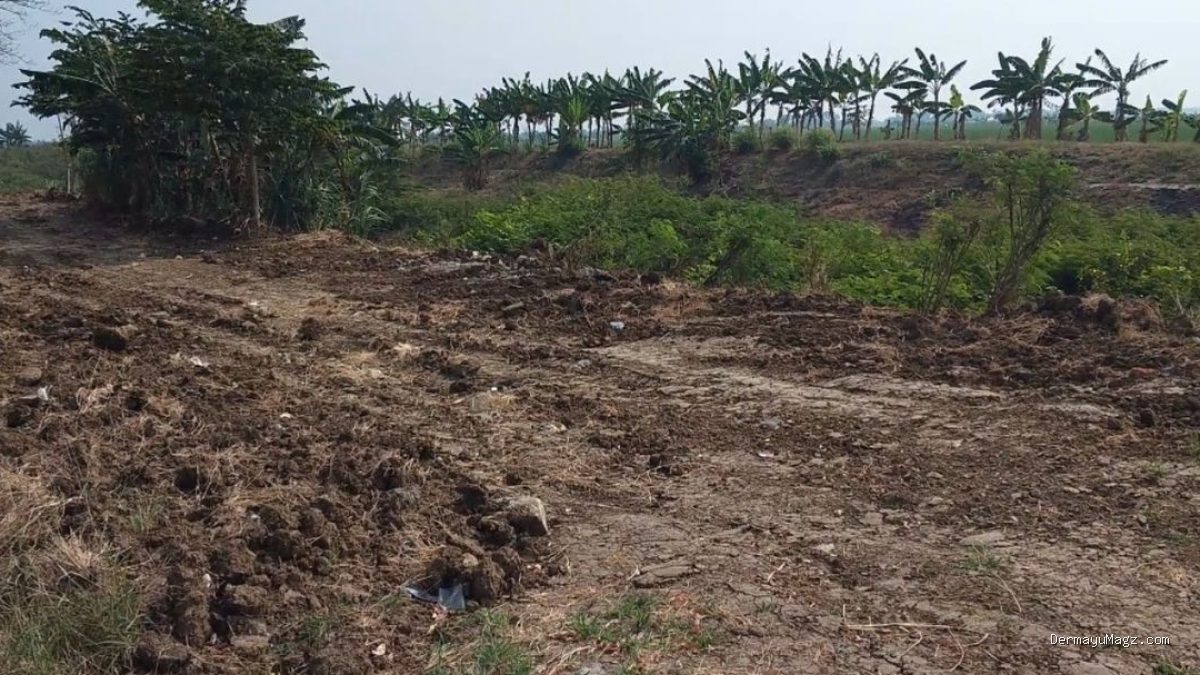 Bom Waktu Indramayu: Penggalian Liar Embung Rancamulya Ancam Lahan Pertanian