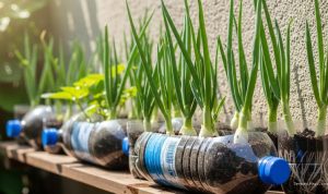 Budidaya Daun Bawang di Botol Bekas untuk Hemat Biaya