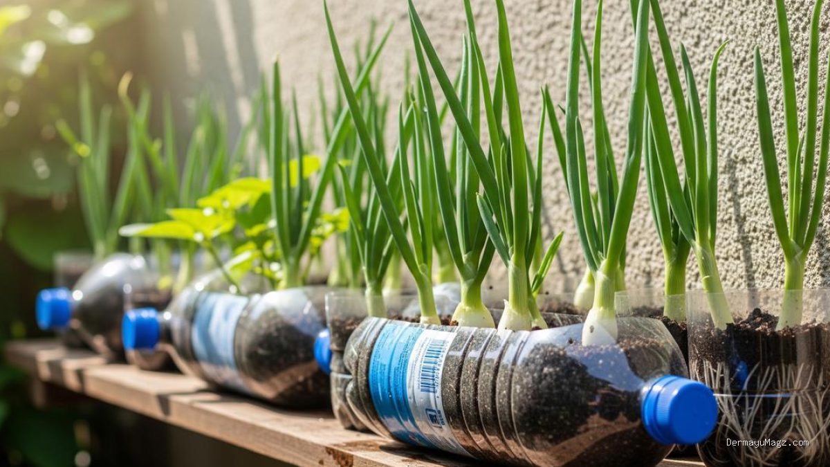 Budidaya Daun Bawang di Botol Bekas untuk Hemat Biaya