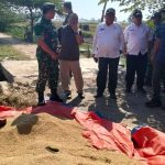 Bulog Indramayu Serap Gabah Pecah Rekor: 158 Ribu Ton!