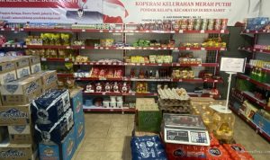 daftar-10-provinsi-dengan-jumlah-koperasi-merah-putih-paling-minim-39308 Daftar 10 Provinsi dengan Jumlah Koperasi Merah Putih Paling Minim