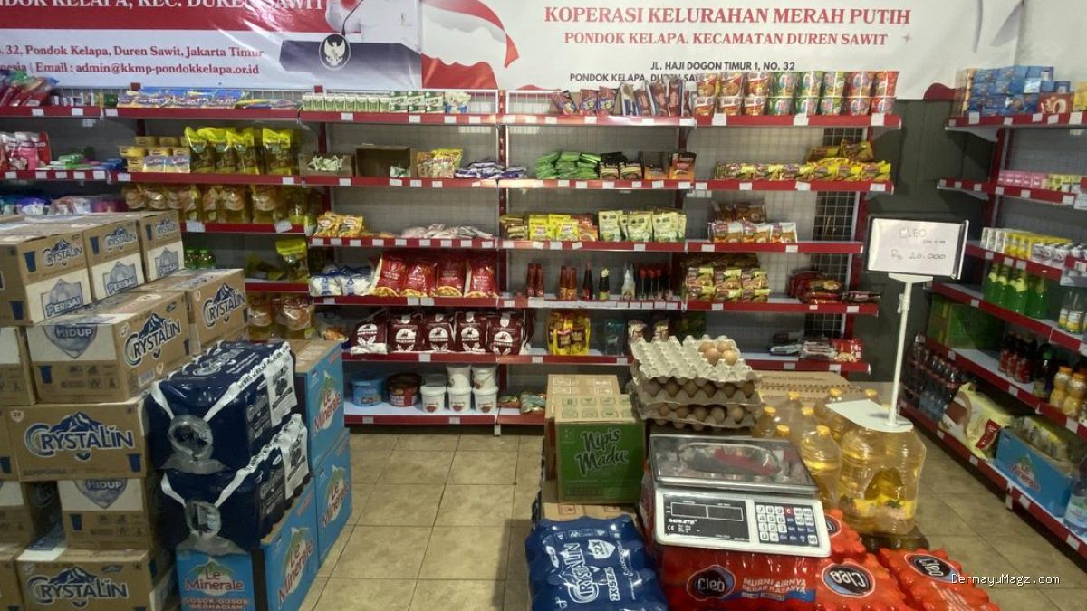 Daftar 10 Provinsi dengan Jumlah Koperasi Merah Putih Paling Minim