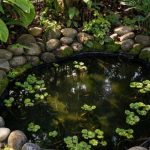 DIY Kolam Mini Natural dari Galon Bekas: 8 Tips Estetik & Unik