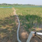 DKPP Indramayu: Normalisasi Irigasi Selamatkan 13 Ribu Hektare Sawah