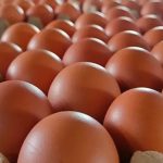 Harga Telur di Pasar Terisi Indramayu Tembus Rp30 Ribu per Kg