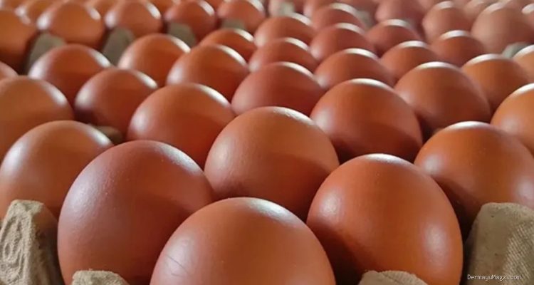 Harga Telur di Pasar Terisi Indramayu Tembus Rp30 Ribu per Kg