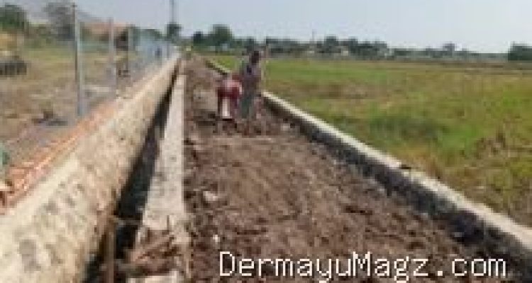 Indramayu Geger: TPT Karangampel & UPTD Disambut Positif, Petani Optimis Panen 6 Juli 2026