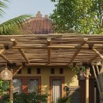 Inspirasi Area Duduk Outdoor di Halaman Belakang dengan Pergola dan Tanaman Hias