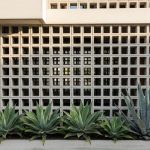 Inspirasi Roster Beton dan Agave untuk Fasad Rumah Modern yang Praktis