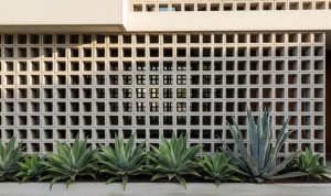 inspirasi-roster-beton-dan-agave-untuk-fasad-rumah-modern-yang-praktis-83922 Inspirasi Roster Beton dan Agave untuk Fasad Rumah Modern yang Praktis