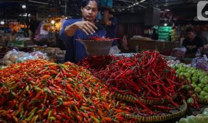 Kondisi Pangan Saat Ini: Cabai Rawit Merah Capai Rp 61.900 per Kilogram