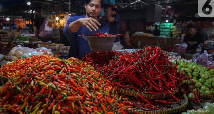 Kondisi Pangan Saat Ini: Cabai Rawit Merah Capai Rp 61.900 per Kilogram