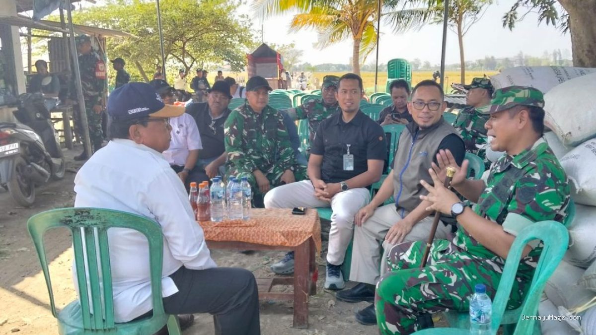 Koramil Krangkeng Kawal Dandim Turun ke Sawah, Serap Gabah Petani