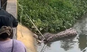 Mayat Pria di Sungai Cipelang Widasari Indramayu Teridentifikasi