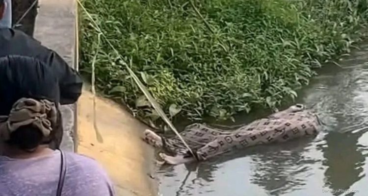 Mayat Pria di Sungai Cipelang Widasari Indramayu Teridentifikasi