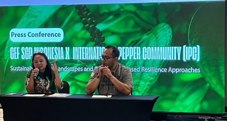 Meningkatkan Daya Saing Lada Indonesia di Pasar Global Melalui Kolaborasi
