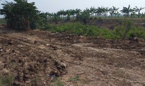 Oknum Bongkar Tanggul BBWS Sekarmulya-Rancamulya, Aset Negara Terancam?