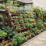 Panduan Berkebun Praktis dengan Botol Bekas untuk Pemula yang Hemat Biaya