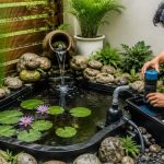 Panduan Membuat Kolam Mini agar Air Tetap Jernih dengan 8 Langkah Mudah