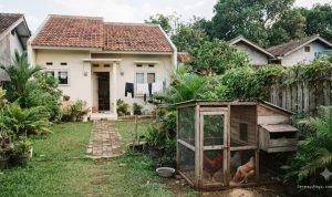 Panduan Menentukan Ukuran Kandang Ayam yang Tepat untuk Rumah Type 36 bagi Pemula