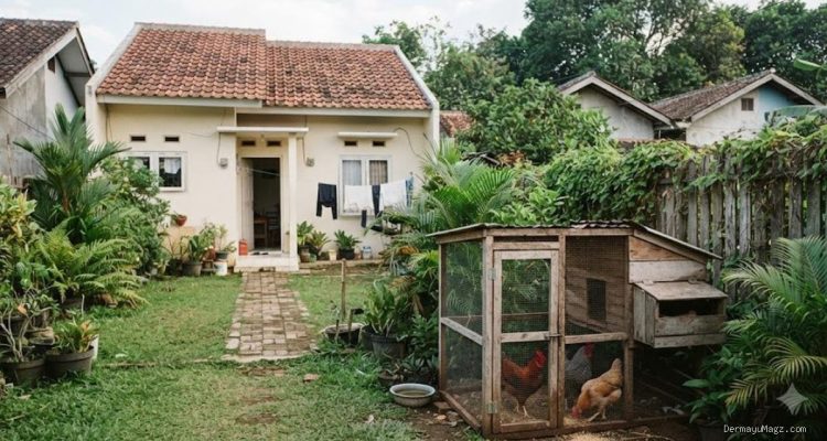 Panduan Menentukan Ukuran Kandang Ayam yang Tepat untuk Rumah Type 36 bagi Pemula